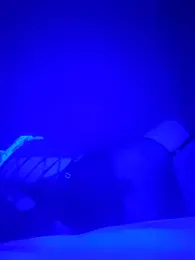 Dehtrans webcam model stream image