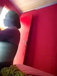 Dehtrans webcam model stream image