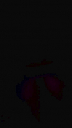 Bembeleza webcam model stream image