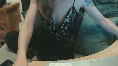 Pocketpawg webcam model stream image