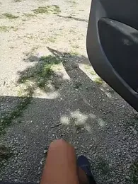 axes webcam model stream image