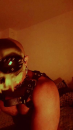 RP2A03 webcam model stream image