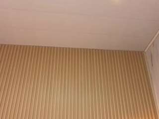 venus-velvet-tp webcam model stream image