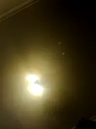 gupsemilf19 webcam model stream image
