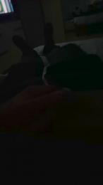 Nolino20 webcam model stream image