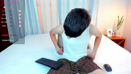 oblivion_deku webcam model stream image