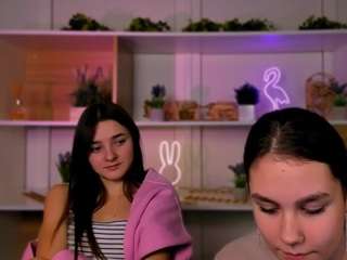 veri-ni webcam model stream image