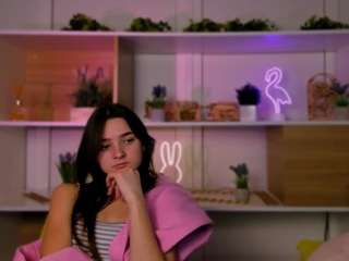 veri-ni webcam model stream image