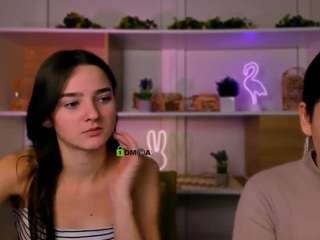 veri-ni webcam model stream image