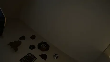 CustomKinkyCouple webcam model stream image