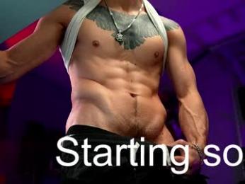 dl_raven webcam model stream image