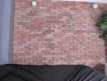 adam_piarse webcam model stream image