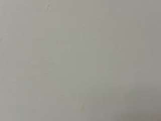 mlfoo webcam model stream image