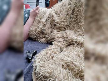 Para222a webcam model stream image