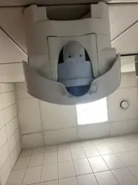 beautydiamond webcam model stream image