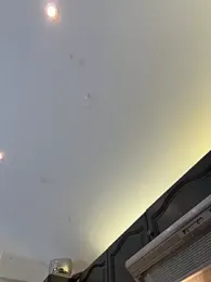 Gipsyboysteve webcam model stream image