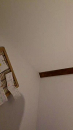 misterman244 webcam model stream image