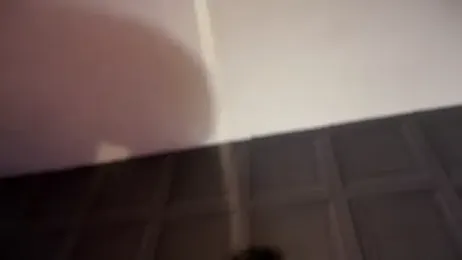 curvybabesx1 webcam model stream image