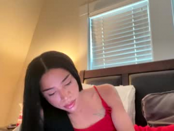 dynasty313 webcam model stream image