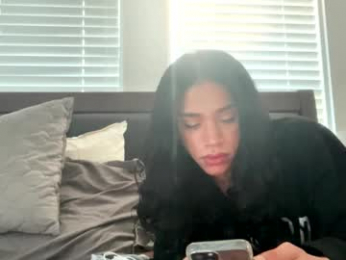 dynasty313 webcam chaturbate model stream image