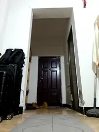 DDYY12341 webcam model stream image