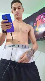 Melga02 webcam model stream image