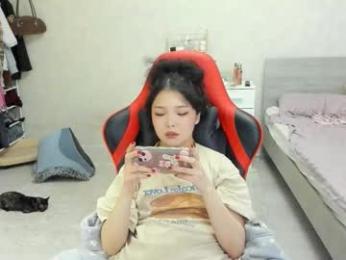 wastforu webcam model stream image