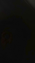 versatice webcam model stream image