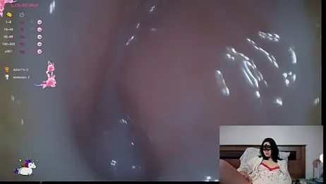 Reinacatchile webcam model stream image