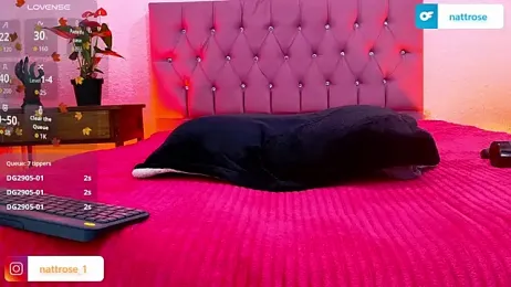 NATTROSE webcam model stream image