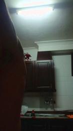 Falisan webcam model stream image