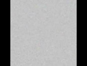 nitha_model webcam model stream image