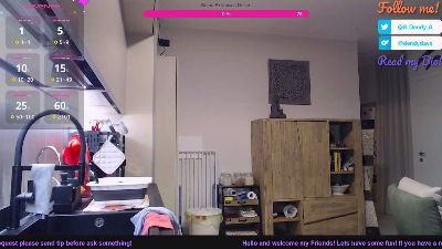 _Dendy_ webcam model stream image