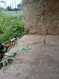 DesiVideo00 webcam model stream image