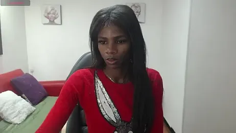 enderlis webcam model stream image