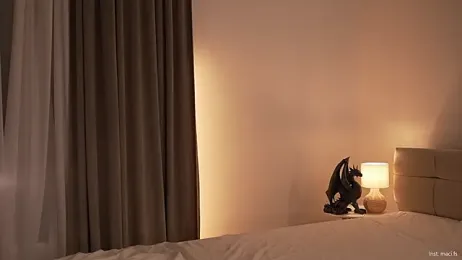 Faster_maci webcam model stream image