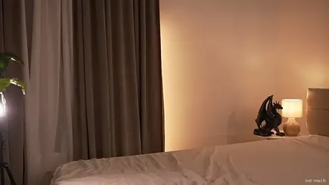 Faster_maci webcam model stream image