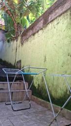 Morenogatorj99 webcam cam4 model stream image