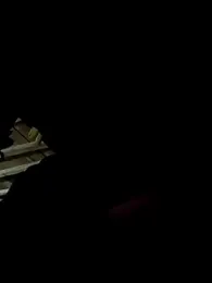 MuiNay webcam model stream image