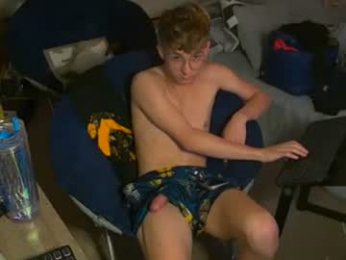 twinktools webcam model stream image