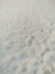 sanek1995sexx webcam model stream image