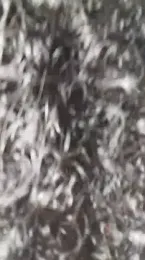 Isabel_and_Heckler webcam model stream image