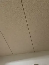 DumbcanDumbfuck webcam model stream image