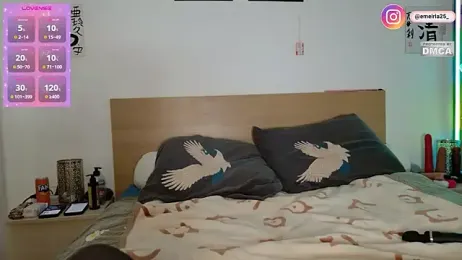 emeiria webcam model stream image