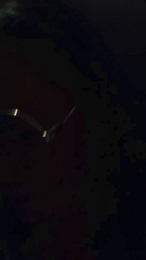 miichellemalv webcam model stream image