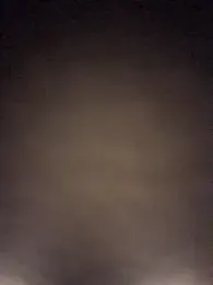 IrisBlacky webcam model stream image