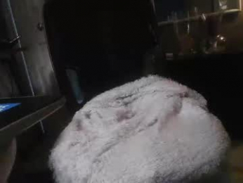 dannyb618 webcam model stream image