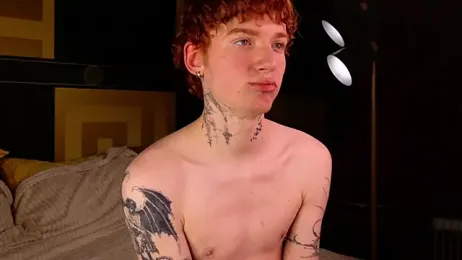 TRAVIS_CLAS webcam model stream image