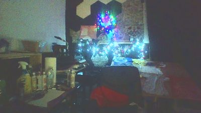 theflodarican webcam model stream image