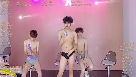 CK-520 webcam model stream image